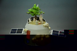 09856b3b05edb4f6b2200f8e9c47334.jpg