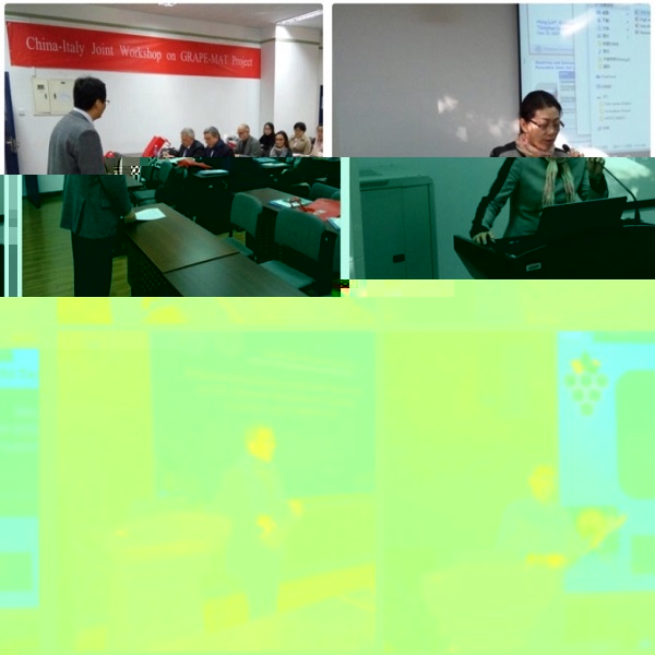 1526614423059066477.jpg 中意-2.jpg