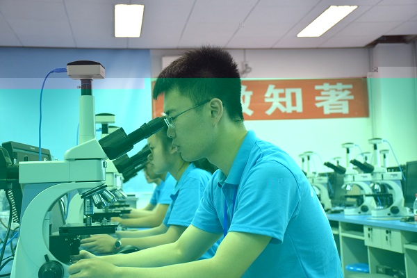 1558600116347023226.jpg 20190523選手在觀察金相組織.jpg
